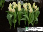[sweet love 0204.JPG]